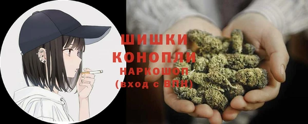 spice Бронницы