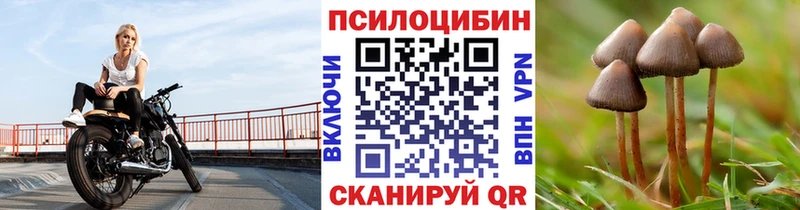 Псилоцибиновые грибы мицелий  Осташков 